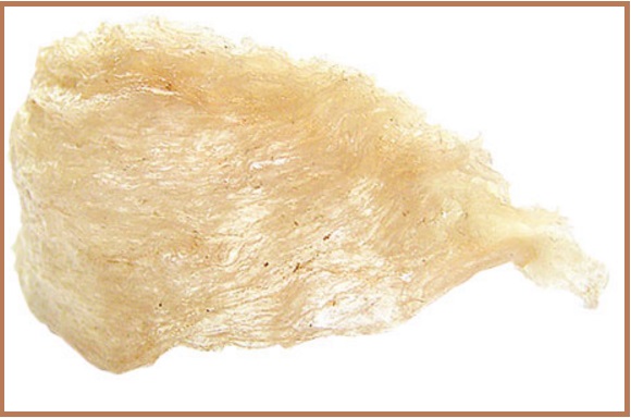 ツバメの巣の摂取方法